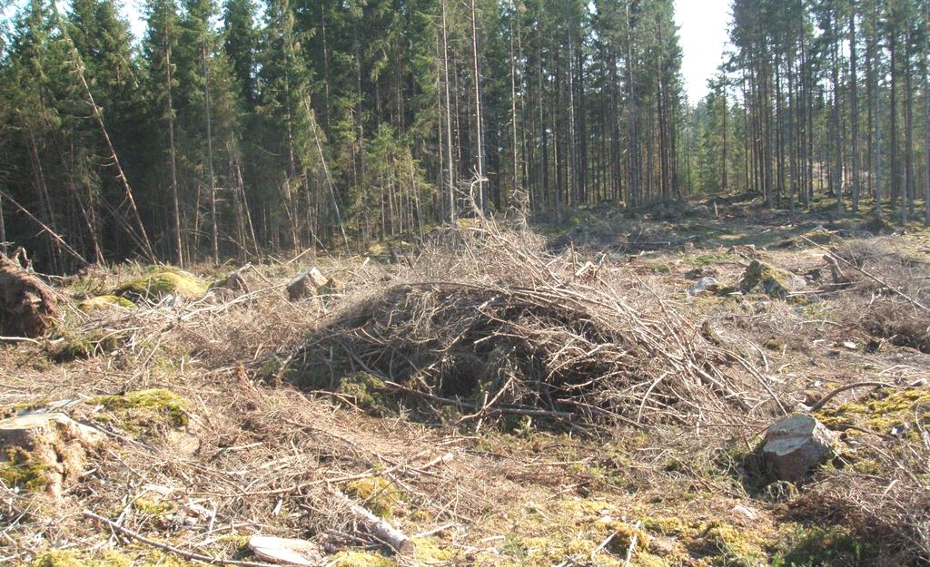 5.4 För industrin tillgänglig grot 5.4.1 Substansförluster Substansförlusterna som uppstår vid hantering och lagring av grot begränsar hur mycket av den potentiella biomassan som verkligen går att använda.