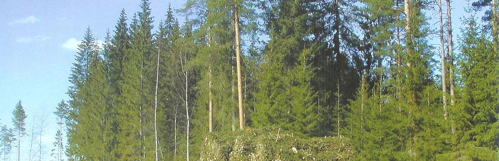 5.6 Slutsatser Inom upptagningsområdet på 100 km radie från Värnamo finns 1 831 835 ha skogsmark fördelat på 48 olika kommuner som ligger helt eller delvis inom 100 km radie från Värnamo.