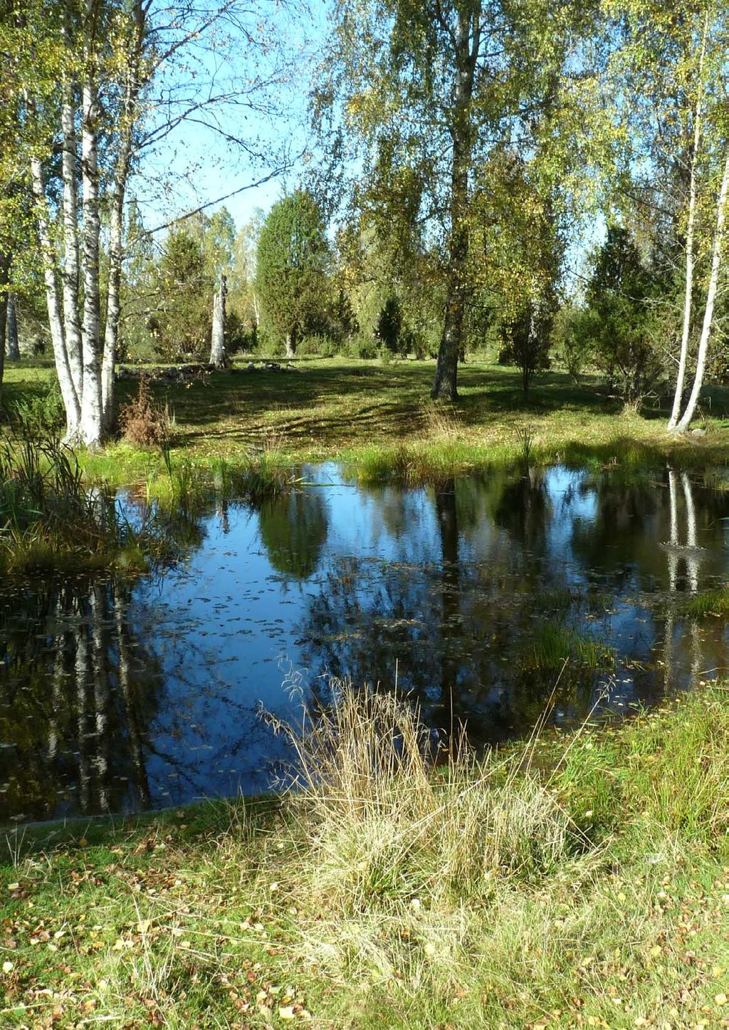 42 Myllrande våtmarker: Våtmarkerna har många viktiga funktioner i landskapet.