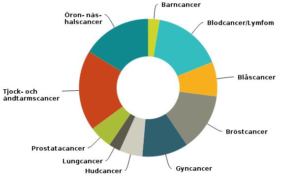 Har patienten fått en skriftlig individuell vårdplan där cancerrehabilitering ingår? Har behoven av cancerrehabilitering bedömts? Hur har behoven av cancerrehabilitering bedömts?