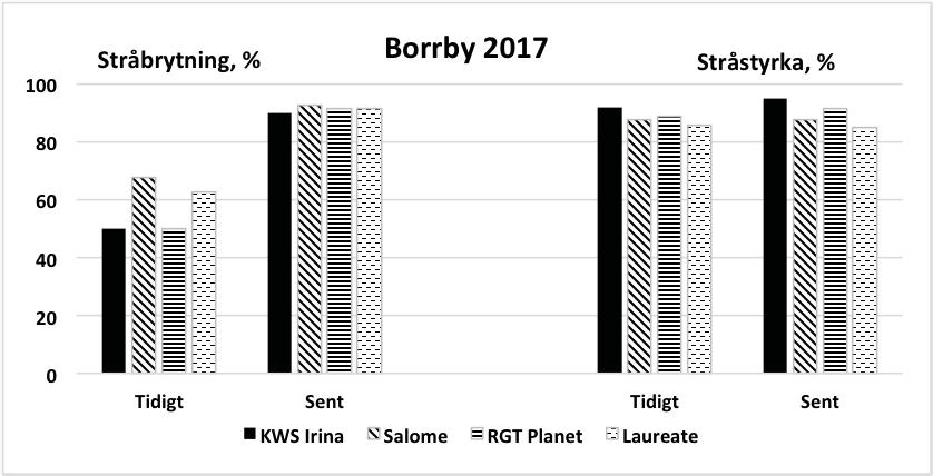 SORTER OCH ODLINGSTEKNIK Diagram 2, Borrby, stråbrytning och stråstyrka 2017, tidig respektive sen skörd. I Borrby ökade stråbrytningen för alla fyra sorterna. Stråstyrkan påverkades inte.