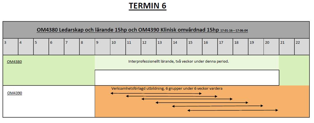 SAHLGRENSKA AKADEMIN,