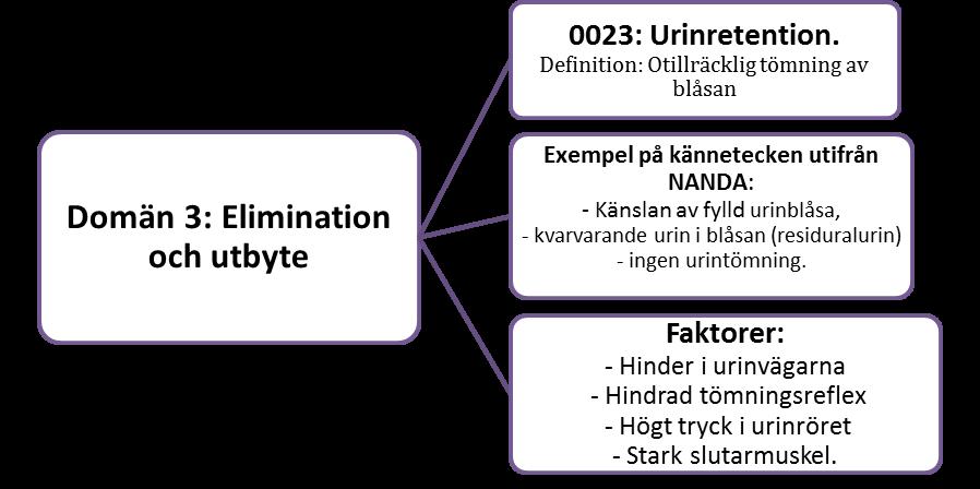 Figur 1. Dessa diagnoser används internationellt och har som tidigare nämnts, utvecklats sedan mitten på 1970-talet för att få fokus på omvårdnad och inte bara det medicinska behovet (Florin, 2001).