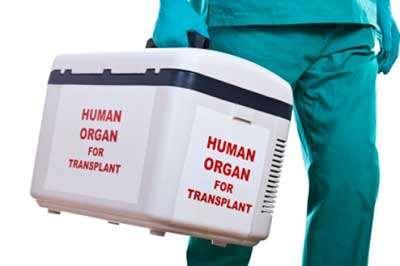 (Edilex 2012) Traditionellt har det använts hårda kylboxar som behållare för organ (se figur 1). Där ingår ingen teknologi, utan organet kyls ner av en is fylld plastpåse i behållaren.
