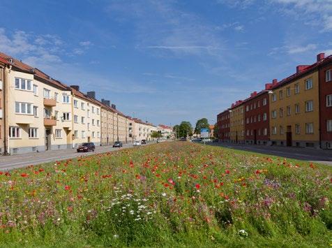 GRÖNSTRATEGI FÖR ÖREBRO KOMMUN 55 Plantering av en blomsteräng på Hertig Karls allé år 2015 blev mycket uppmärksammat och uppskattat.