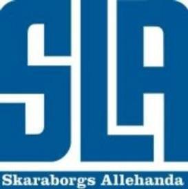 Handbollssuccén fortsätter The Skaraborg Model rocks in USA!