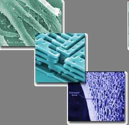 Biomaterial Material som baserar sig på biologiska molekyler och strukturer eller är biokompatibla Material kan vara vid liv!