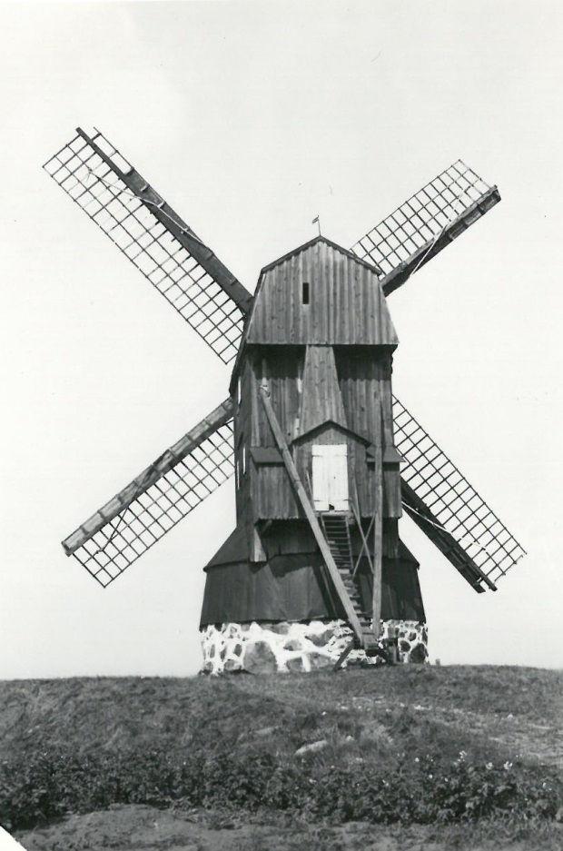 Samtidigt har en del förbättrande åtgärder företagits och marken har belagts med grus.