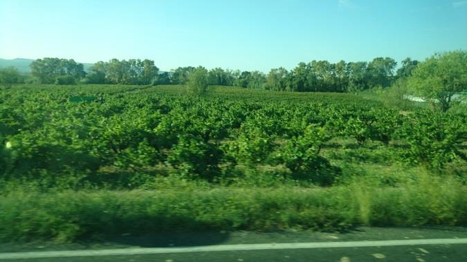 Lördag 29 september Bussen hämtade oss tidigt på morgonen för att köra oss söderut till Villafranca del Penedes.