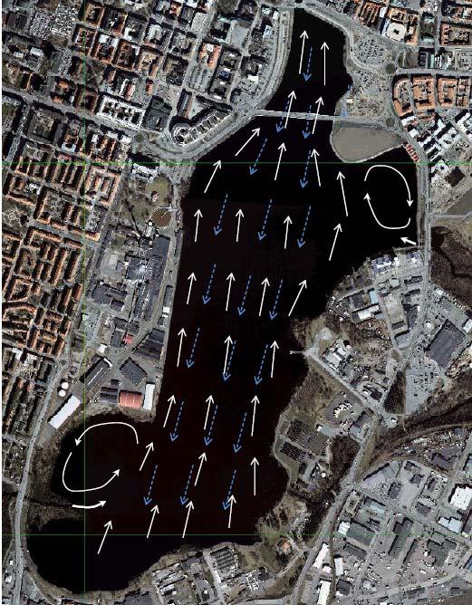 Figur 8. Strömmar till följd av vindpåverkan från syd. Vita pilar anger ytström och blåa pilar returström ovan språngskikt.