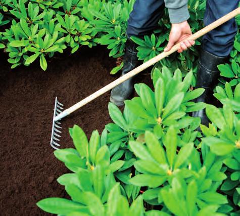 Innehåller organiskt material av olika slag såsom bark och grov torv. Används till Rhododendron och andra surjordsväxter som trivs i grov mulljord.