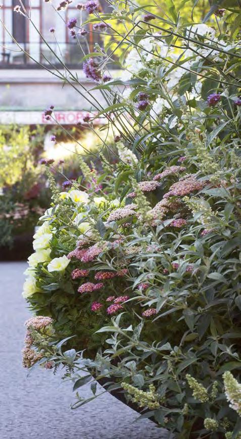 U-jord Till sommarblommor och andra näringskrävande växter i alla slags planteringskärl utomhus. En jord för alla väder, klarar både uttorkning och regniga perioder.