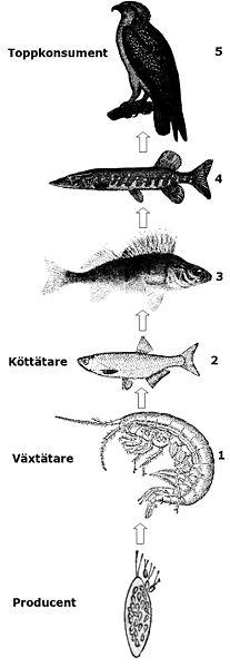 kommunen. Ger tillbaka. Kultur viktigt.