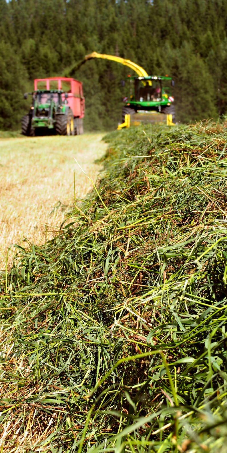 Brist på ensilage?