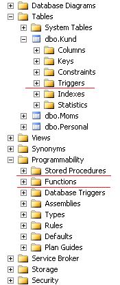 Programability? Avsnittet Programability i SQL Server består av ett flertal underavsnitt.