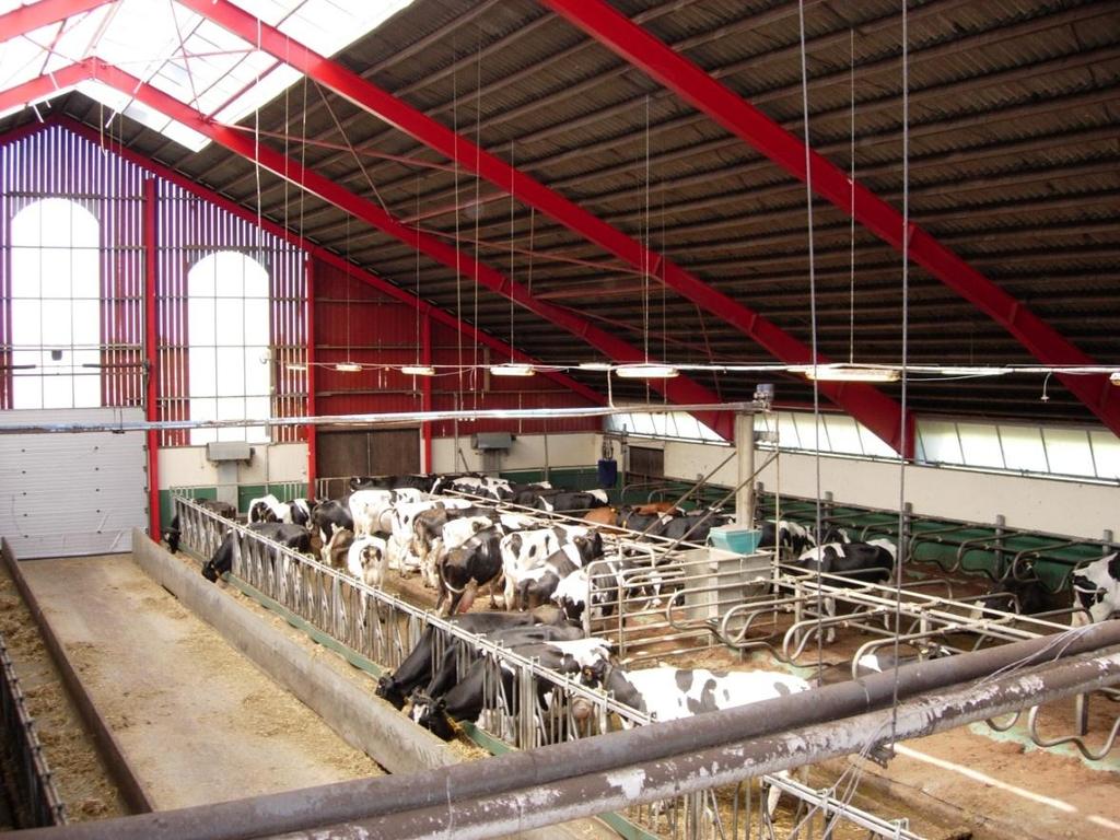 Mätningar i mjölkkostall helt golv Feb 2007 - Maj 2007 108 mjölkkor 31,5 kg