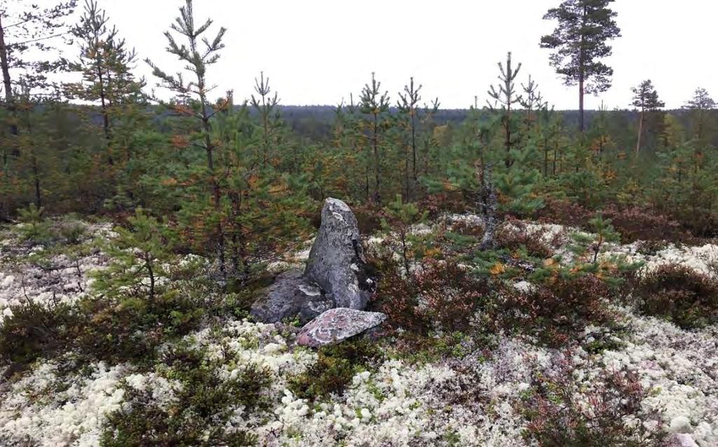 Resultat Vid fältinventeringen påträffades och dokumenterades 10 nya lokaler med lämningar (Bilaga 1 och 2).