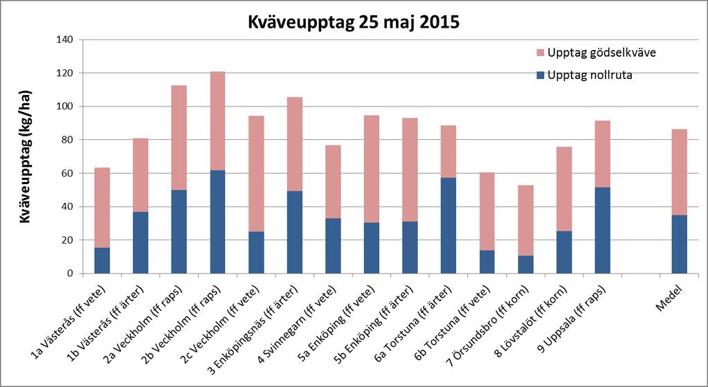 Det har kommit 0-2 mm regn sedan förra måndagen och marktemperaturen var 11-13 grader på 10-15 cm djup. Höstvetet är i utvecklingsstadium DC 32-37.