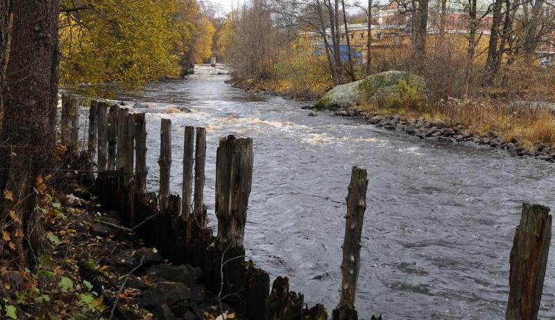 Lekområde för sik i Testeboån. Äggen kläcker tidigt under våren, ungefär i samband med islossningen. De nykläckta ynglen är ca 12-15 mm långa.