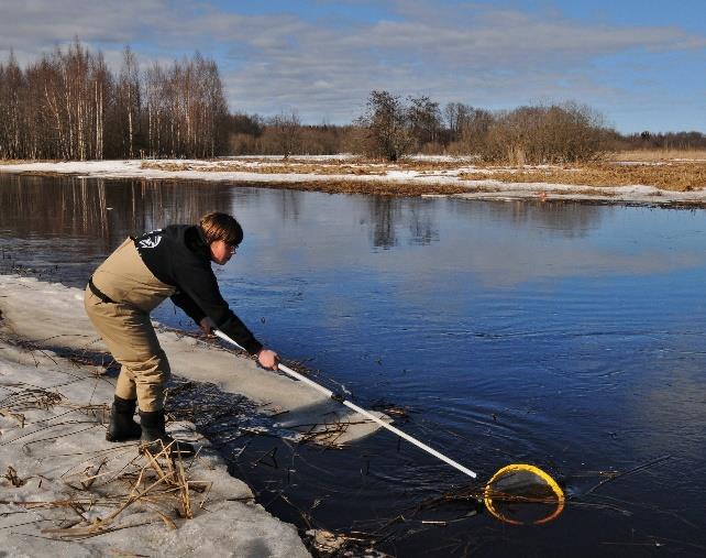 2012 Inventeringsprotokoll Sikyngel Datum Vattenförekomst Plats Metod Sikyngel per håvdrag Storlek på sikyngel Vatten temperatur Vattenföring enl.