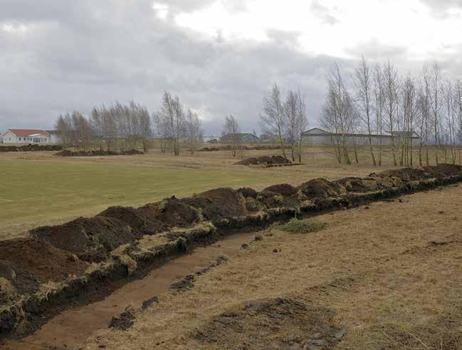 ARKEOLOGISK UTREDNING 2017 Mats Nilsson Altona