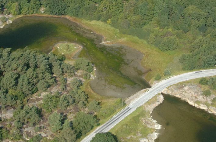 RESULTAT brunslicken Pilayella litoralis. Iakttagelsen baseras på studier från mitten av 1980-talet då arten var mycket vanlig utanför Göteborg. Pilayella gynnas dessutom av sargassosnärjan.