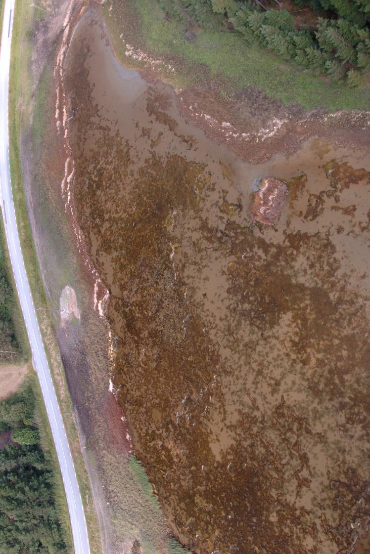 RESULTAT Grundområde vid södra Råssö med en blandning med bruna