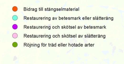 Restaurering betesmark och slåtteräng Skötsel/arrende betesmark