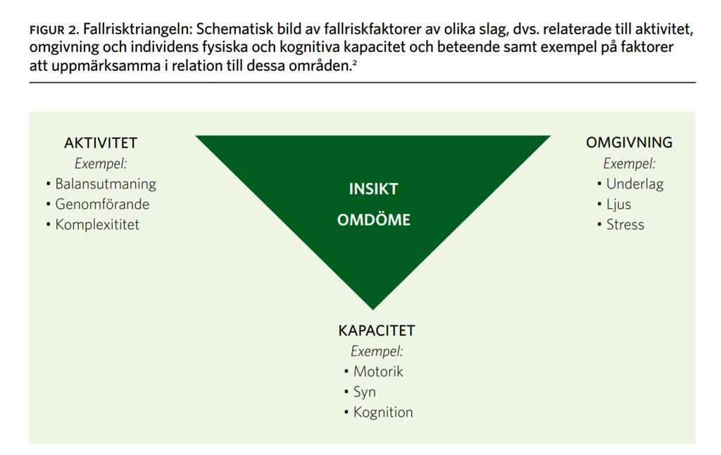 SKL, 2011. Fall och fallskador åtgärder för att förebygga.