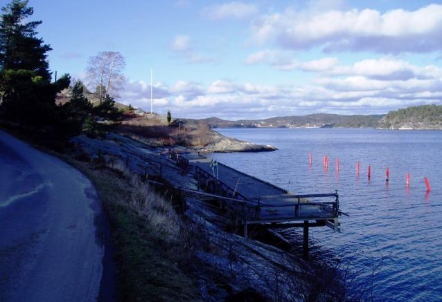 Förslaget bedöms inte innebära någon konflikt med det allmänna intresset att röra sig och vistas i strandzonen. Det bedöms heller inte påverka livsbetingelserna för djuroch växtliv.