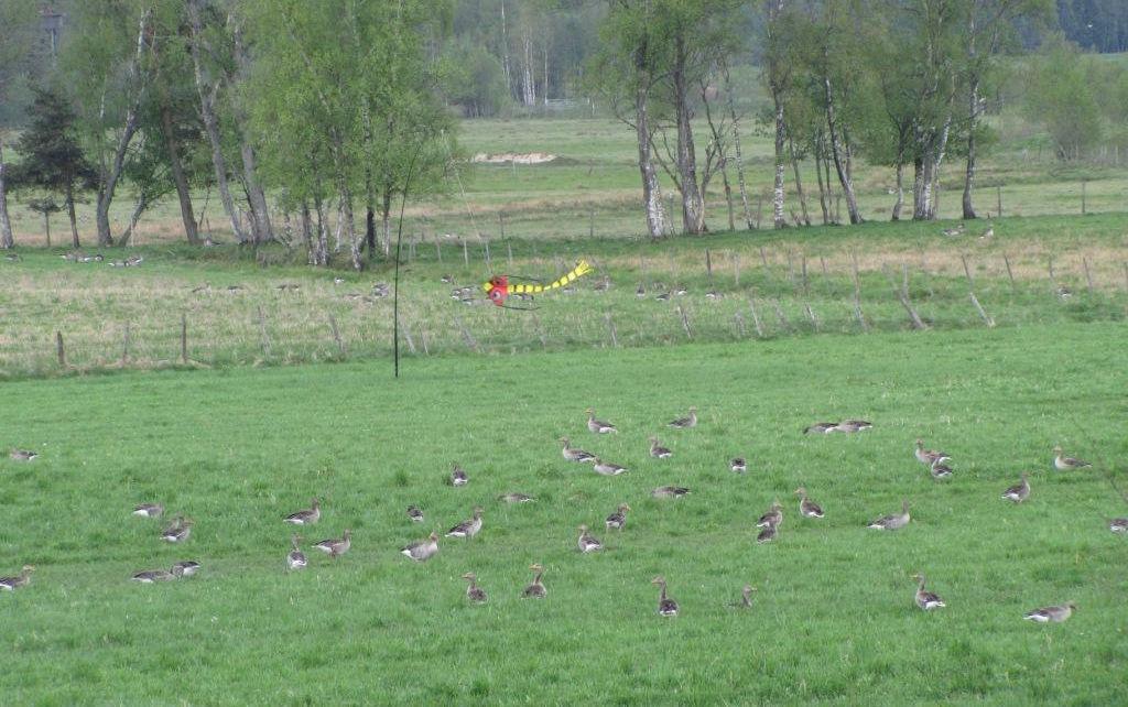 uppdrag av länsstyrelsen i Jönköpings län Produktion: Svensk