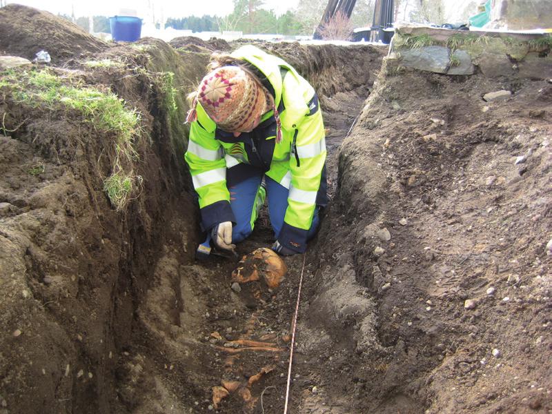 8 ARKEOLOGISK RAPPORT 2008:45 figur 3: Osteolog Anna Kloo Andersson undersöker skelettet av den äldre mannen. Foto: Britt Ajneborn.