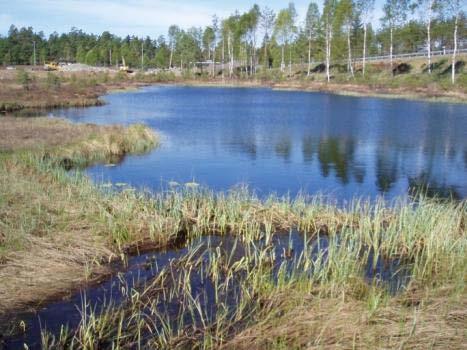 Vattenförekomstens statusklassning på sträckan Landvettersjöns inlopp till Tväråns tillflöde är däremot måttlig med avseende på ekologisk status eftersom ån bitvis är reglerad på sådant sätt att det