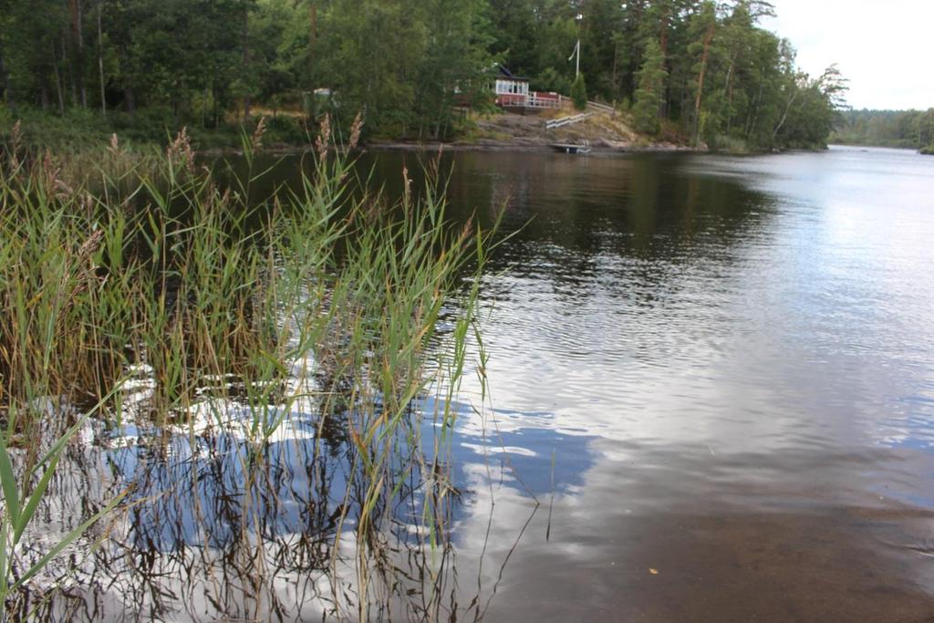 större dammussla finns noterade från Alsteråns vattensystem tidigare! (Ted von Proschwitz muntligen). Resultat per lokal redovisas nedan.