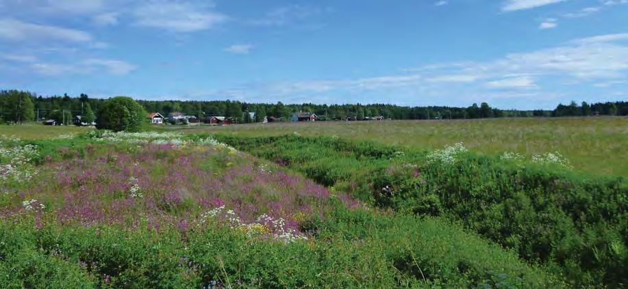 Bebyggelsen är nästan uteslutande lokaliserad på vägens östra sida i kanten upp mot den mer sammanhängande skogen.