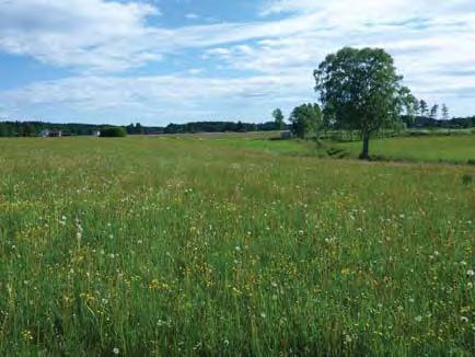 7.5 Naturresurser Påverkan på naturresurser beskrivs utifrån hur vägåtgärden påverkar naturresursen utifrån dess omfattning och kvalitet.