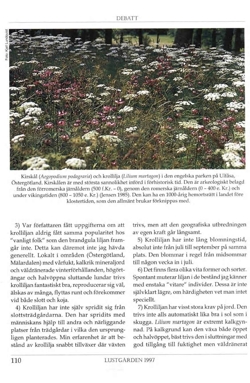 DEBATT I " 3 \ M J M iu Kirskål ( Aegopodium podagraria) och krollilja (Lilium martagon) i den engelska parken på Uifåsa, Östergötland. Kirskålen är med största sannolikhet införd i förhistorisk tid.