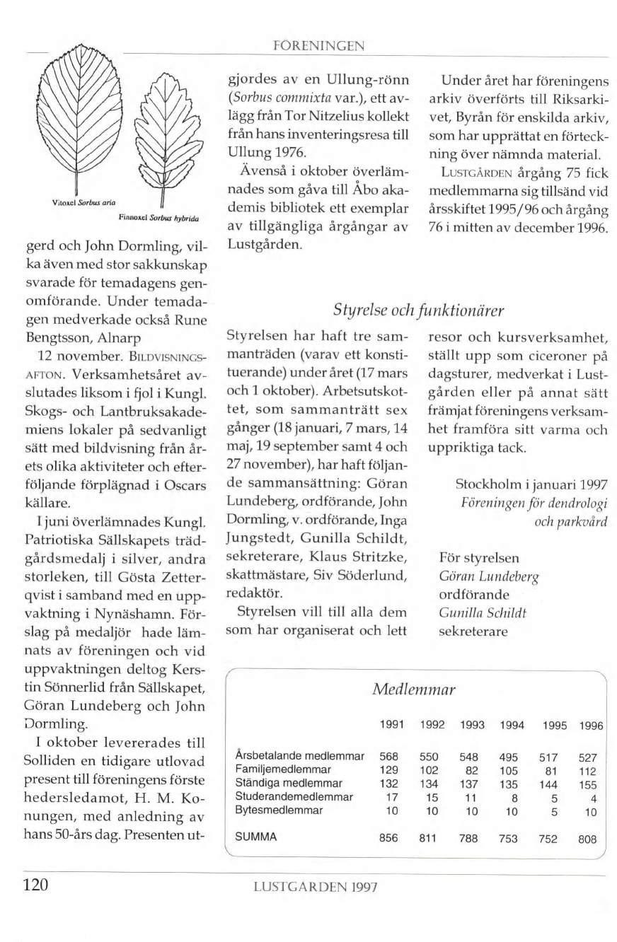 FORENINGEN Viloxcl Sorbus aria Finnoxci Sorbus hybrida gerd och John Dormling, vil ka även med stor sakkunskap svarade för temadagens gen omförande.
