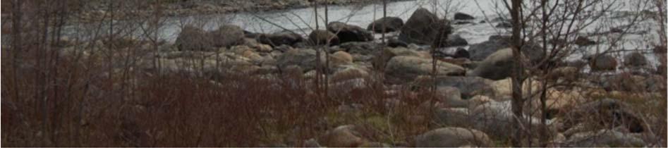 VA-anläggningen bör bli gemensam för de nya områdena. Fri passage mot havet på några tiotal meter, är erforderlig för att trygga allemansrätten och det rörliga friluftslivet.