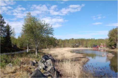 Transkärsviken Området mot Transkärsviken ligger på en bergsrygg och är ca 4 ha stort, med fin utsikt över byn och havet.