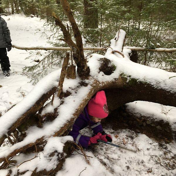 Den magiska staven läggs på altaret samtidigt som vi säger Simsalasi simsalasiska, hör nu skogen stilla viska. Staven får nu sin magi, tid att släppa Våren fri.