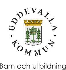 Patientsäkerhetsberättelse med informationssäkerhets- och kvalitetsberättelse för elevhälsan i Uddevalla kommun 2017