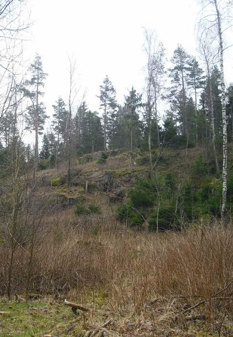 3 INLEDNING Bakgrund Torps handelsområde, lokaliserat cirka 7 kilometer väster om centrala Uddevalla, omfattar i dagsläget cirka 200 000 m² handel.