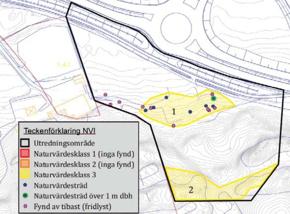 Området bedöms ha ett lågt värde som biotop för arter som berörs av artskyddsförordningen.