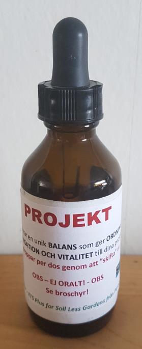 SAMMANFATTNING Skapa ORDNING, ORGANISATION och LIVSKRAFT i dina PROJEKT som t ex ditt FÖRETAG,