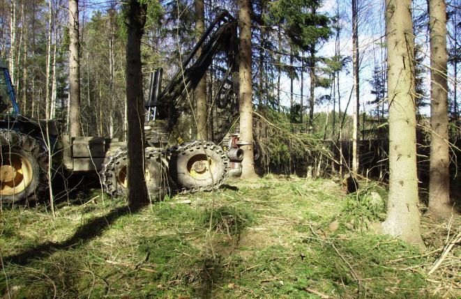 Näringsliv Skogen ger en nettointäkt på 1,3 Mkr, vilket är i enlighet med avkastningskravet. Avverkningen uppgår till 3 869 skkbm.