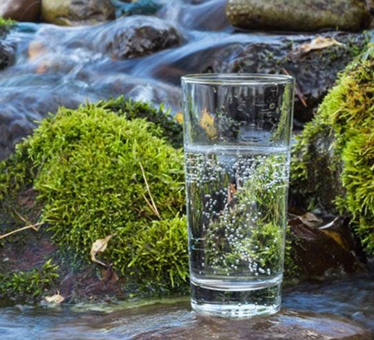Kontrollera även bäst föredatum på vattenflaskan eftersom den utsätts för trycksättning varje gång som Carbonice används, vid passerat bäst före datum ska flaskan bytas ut.