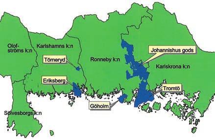 bergets naturreservat norr om Sölvesborg. Här förekommer arten ganska rikligt på ett stort antal bokar. En bedömning är att den finns på 100 200 träd.