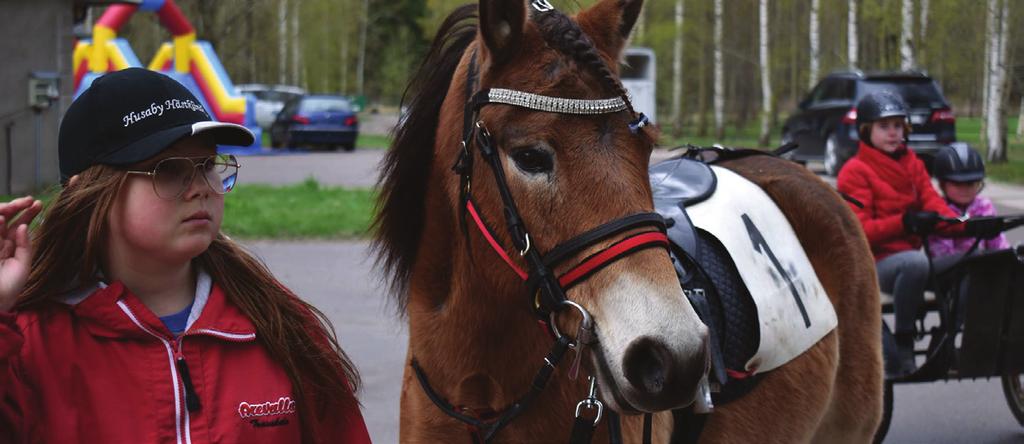 ., Tot: Grön, vitteaxelparti Normark A, / / / n ATÄT II & ärmbinel; vit : *,. Basilika ärlineh.ax meerö /,, Normark ofie A : Tot:,fux e Oskar Anette, Pålsboa : Normark, /. v.allansson meerö / / / n,, a Chiquita e Almnäs Ulex N A / // Ä: Oer Blentarp meerö /,, BY UNAnette, :, G /,.