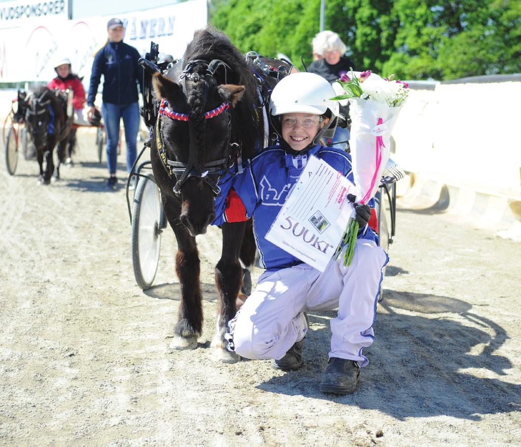 e Almnäs irocco anné i, nköpin Ä: Gillsber Davisson Annika örkblå, mörklila/vitt bröstban; mblå Anersson Amana (Davisson T) CAINO ROYA,fux h.